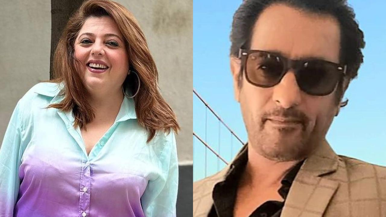 Delnaaz Irani and Rajeev Paul got married in 2005 after meeting on the sets of the TV show 'Parivartan'.  However, after 14 years of marriage, they faced compatibility issues and personal differences, which eventually led to their separation 